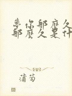 梦你那么久想你那么久是什么歌