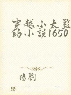 穿越小太监李显的小说1650