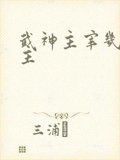 武神主宰几个女主