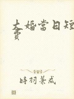 大婚当日短剧免费