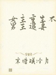 女主重生不爱了男主追妻