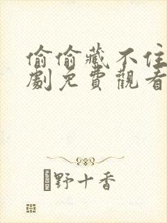 偷偷藏不住电视剧免费观看星辰