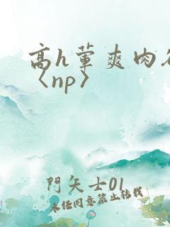 高h荤爽肉欲文〈np〉