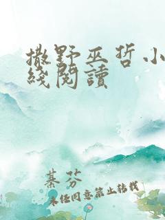 撒野巫哲小说在线阅读