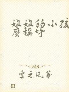 姐姐的小孩叫什么称呼