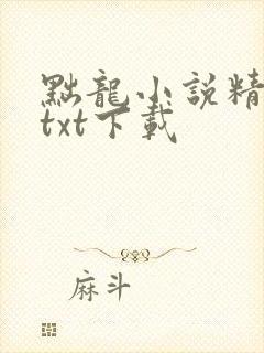 黜龙小说精校版txt下载