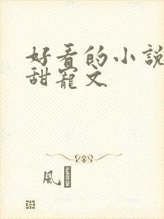 好看的小说推荐甜宠文
