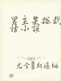 男主是总裁的言情小说