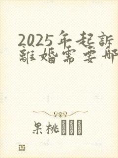 2025年起诉离婚需要哪些手续什么流程