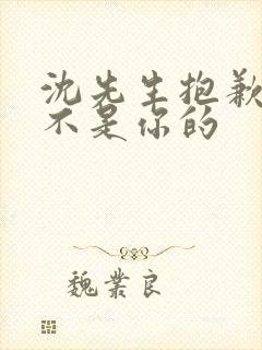 沈先生抱歉孩子不是你的