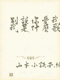 别说你爱我你想我是什么歌