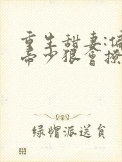 重生甜妻:偏执帝少狠会撩