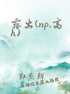 露出(np,高h)