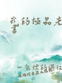 我的极品老婆听书