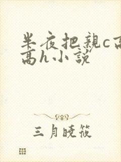 半夜把亲c高潮高h小说