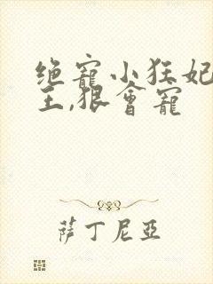 绝宠小狂妃:邪王,狠会宠