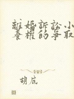 离婚诉讼小孩抚养权的争取