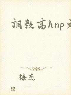 调教高hnp文