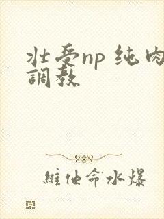 壮受np 纯肉调教