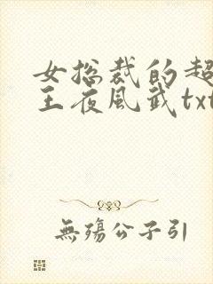 女总裁的超级兵王夜风武txt
