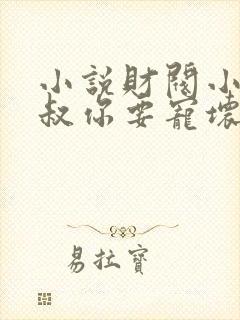 小说财阀小娇妻叔你要宠坏我了