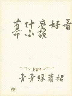 有什么好看的算命小说