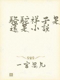 骆驼祥子是散文还是小说