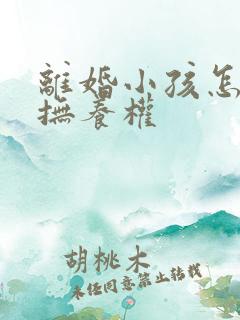 离婚小孩怎么判抚养权