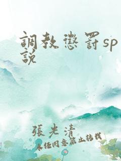 调教惩罚sp小说
