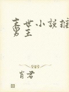 末世小说推荐双男主