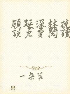 顾延深林挽音小说免费阅读最新章节