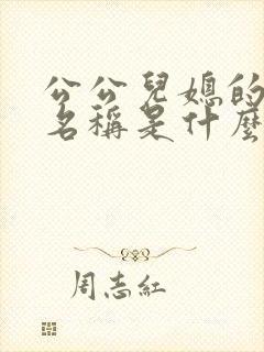 公公儿媳的小说名称是什么
