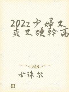 202z少妇又爽又硬干高潮了