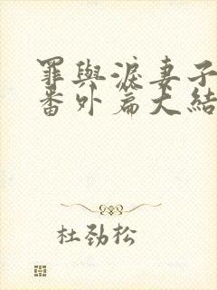 罪与泪妻子金娜番外篇大结局