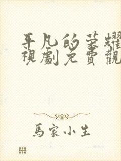 平凡的荣耀 电视剧免费观看全集