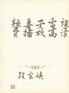 辣妻子电视剧免费播放高清