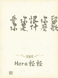 爱你恨你留不住你是什么歌