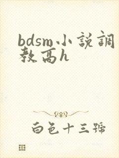 bdsm小说调教高h