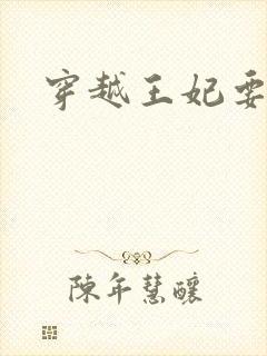 穿越王妃要升级