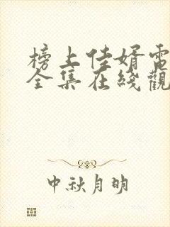 榜上佳婿电视剧全集在线观看免费播放