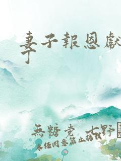 妻子报恩献身老丁