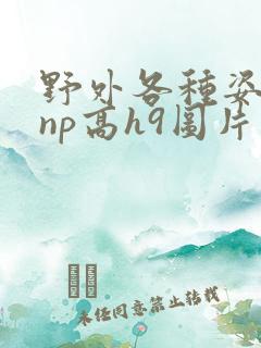 野外各种姿势被np高h9图片