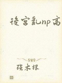 后宫乱np高h