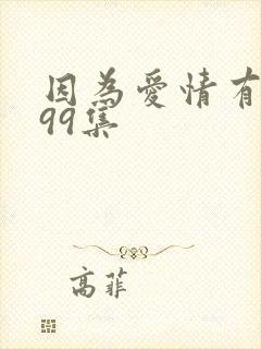 因为爱情有奇迹99集