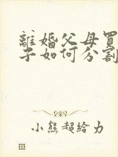 离婚父母买的房子如何分割