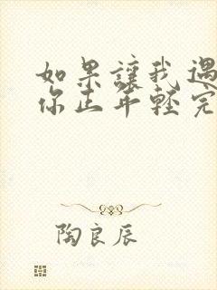 如果让我遇见你你正年轻完整歌词