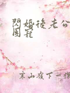 闪婚后老公全家团宠