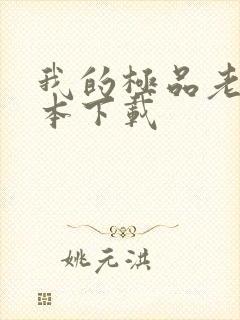 我的极品老婆全本下载