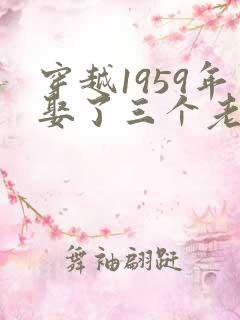 穿越1959年娶了三个老婆的小说免费阅