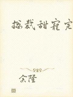 总裁甜宠完结文